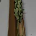 Waipfaru Faux Olive Branches for Vases, Olive Tree Branches with Lifelike Olives, Artificial Greenery Stems Decor for Centerpieces Floral Arrangements Vases (3Pcs, 18 Inch)
