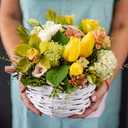 4 Sets Floral Foam Round, 7.48x3.74inch Floral Dry Round Flower Foam Half Ball with Bowl for Artificial Plant Arrangement and Wedding and Garden Decorations