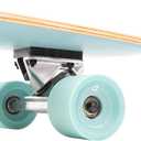 Retrospec Zed Pintail & Cruiser Longboard Adult Skateboard - 44in Bamboo & Canadian Maple Deck with ABEC-7 Bearings, 70mm PU Wheels for Commuting & Carving