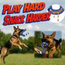 American Playtime Dog Chew Toy, Blue 6" in 2 Pack Interactive Outdoors Toys for Aggressive Chewers for Treat-Filling Capabilities and Tug of War Dog Toy, Tough Toys for Medium,Large Dogs