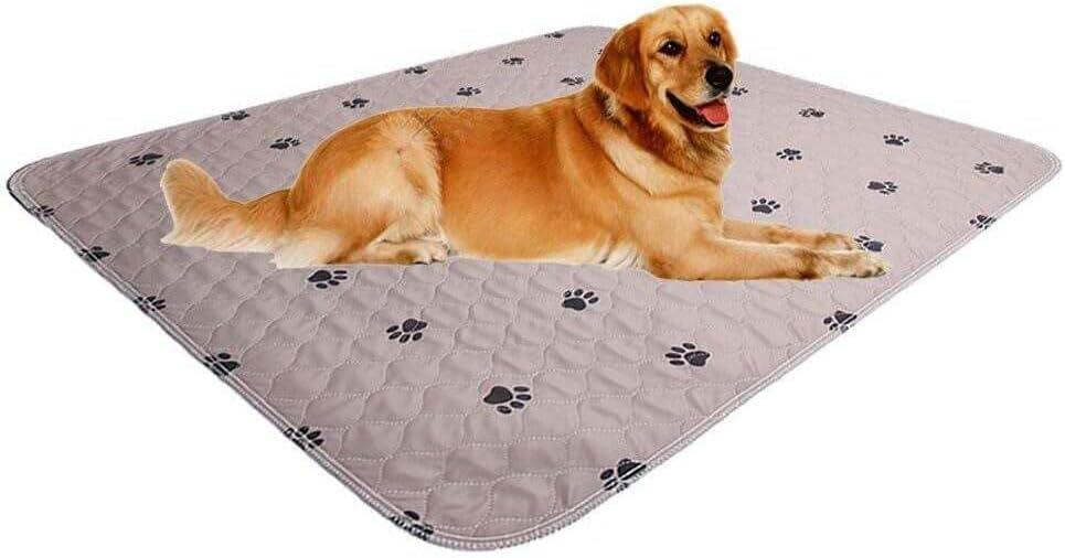 Washable Dog Pee Pads 36X54,Puppy Pads,Reusable Pet Training Pads,Waterproof Pet Pads for Dog Bed Mat,Super Absorbing Whelping Pads (36x54 Inch (Pack of 2))