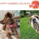 Unique style paws Bowtie Dog Collar Cotton Watermelon Adjustable Summer Collar for Small Medium Large Dogs - XL