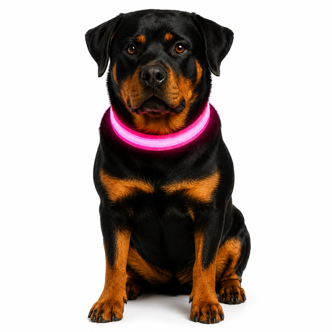 Rechargeable LED Dog Pet Collar Flashing Luminous Safety Light Up Pi, Pink L