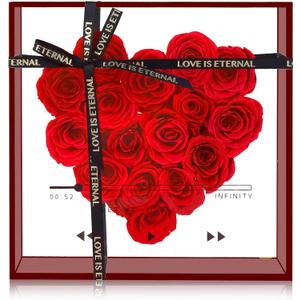 Preserved Roses for Women, Forever Flowers, Red Real Roses, Eternal Flowers Gift, Mothers Day, Valentines Day for Mom Girlfriend Wife Grandmother (Red)