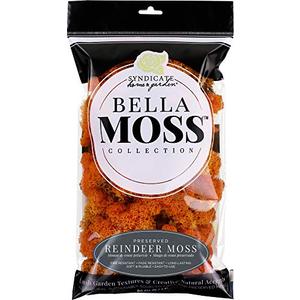 Bella Moss 1406121083 Reindeer Bag Moss, Autumn