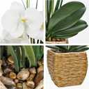 Hollyone 21.6" White Orchid Artificial Flowers Fake Orchid in Rattan Woven Vase Faux Orchids Phalaenopsis Arrangement in Pot for Office Table Centerpiece Shelf Wedding Indoor Outdoor Home Decor