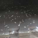 SUPERJARE 0.56'' Thick 24 Pcs 96 Sq Ft Rubber Top Exercise Equipment Mats, High Density EVA Foam Mats with Rubber Top, Interlocking Gym Flooring for Home Gym, Protective Workout Mat, Black/Grey