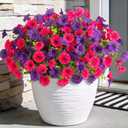 ADXORA 12 Bundles Morning Glory Artificial Flowers for Outdoor Decoration UV Resistant Fake Plastic Plants Artificial Greenery for Indoor Outdoor Garden Patio Window Box Home Decor