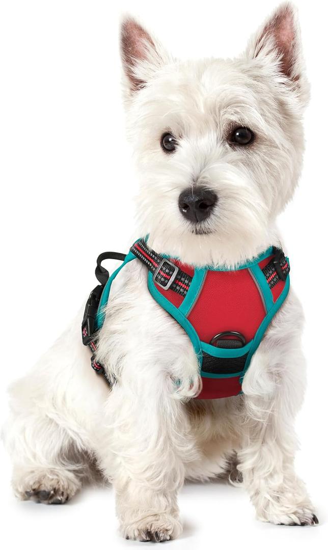 rabbitgoo Dog Harness No Pull with 2 Leash Clips, Adjustable Soft Padded, Reflective Oxford No Choke Pet Vest with Easy Control Handle for Puppy, Red & Teal, XS (X-Small)