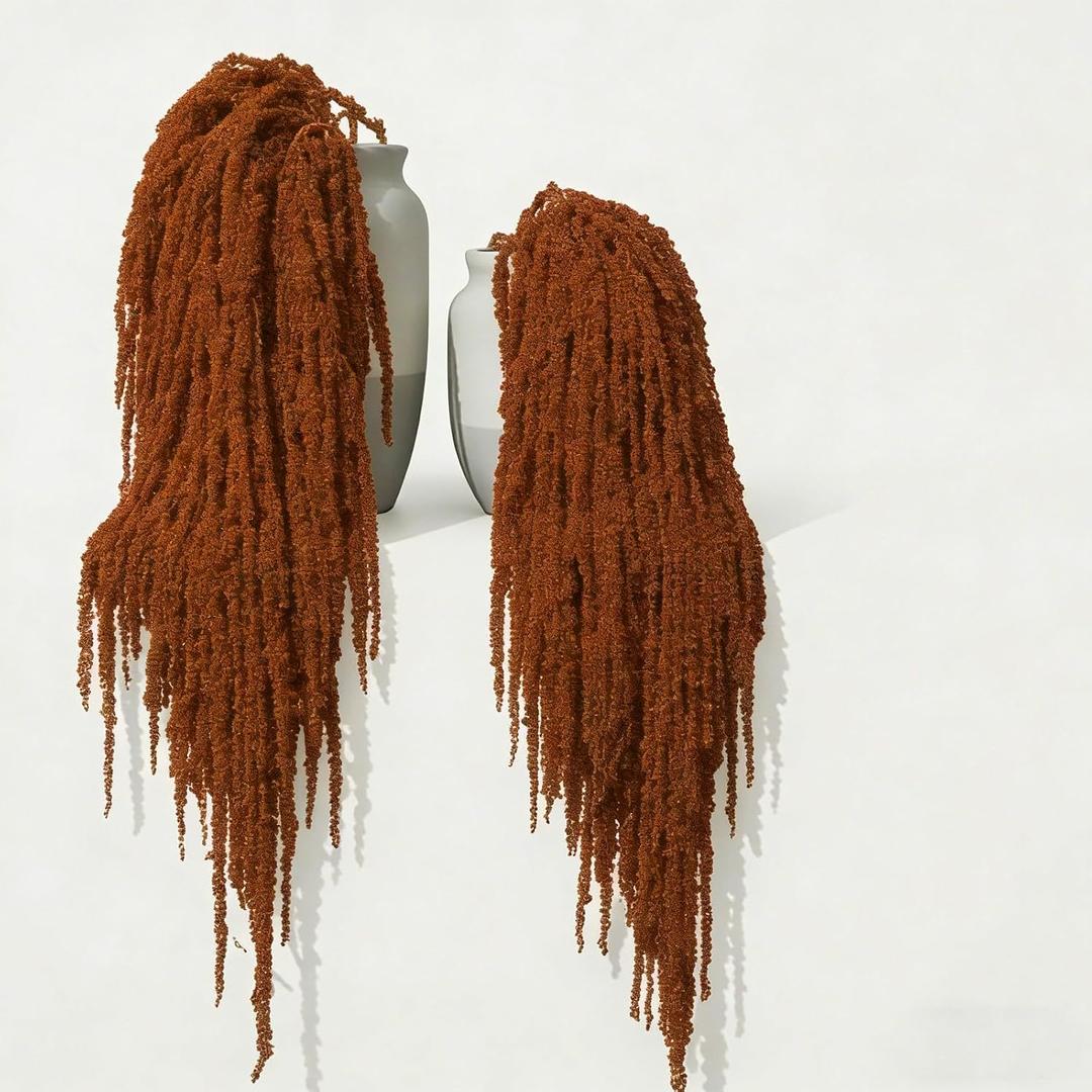 5Pcs Dried Amaranthus Hanging Flowers, 53" Neon Green Preserved Natural Wisteria for Wedding Arch, Table Centerpiece, Wall Hanging Lover Tears, Floral Arrangement (Red)