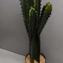 DILATATA 32.5" Tall Fake Cactus Plant Potted 'Euphorbia Accruensis' - Large Artificial Cactus for Home, Garden, Office Decor - Housewarming Gifts