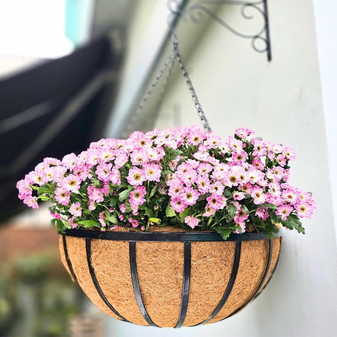 LaLaGreen Outdoor Hanging Baskets for Plants (20 Inch) Extra Large Black Metal Flat Iron Hanging Planter with Coco Liner Round Flower Pot Holder Hanger Deck Porch Modern Garden Balcony Country Decor (20" (51cm) x 1 Pack)