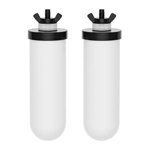 JOYPUR PF-4 Ceramic Purification Elements, Replacement Filters for ProOne® and Berkey® Filters, ProOne® Big+ or Berkey® Big Countertop Gravity Water Filter System and Purewell System (2 Pack)