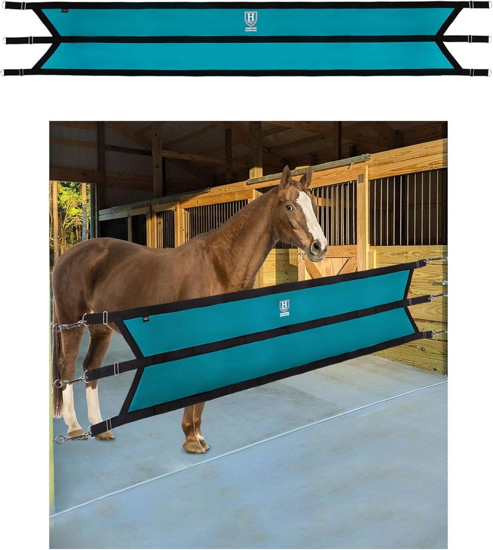 Harrison Howard Stall Guard for Aisle Home Barn Use with Sturdy Spring Hooks and D-Rings Adjustable Straps Aisle Stall Guard for Horses Dark Teal