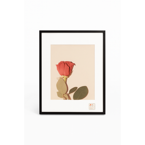 Black Frame 11.5"×14.5"