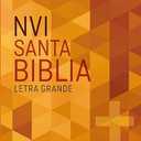 NVI, Santa Biblia, Revisión 2022, Edición económica, Letra grande, , Tapa rústica (Spanish Edition), Paperback