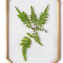 NCYP 4" x 6" Small Glass Floating Frame with Chain for Artwork Photo, Picture, Pressed Dried Flowers, Plant Specimen - Home Wall Hanging Decor, Octagon, Gold, Handmade (Glass Frame Only)