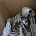 5.75ft Life Size Giant Halloween Skeleton, 69" Posable Full Body Skeleton with Movable Joints, Halloween Skeleton Decorations for Yard Porch Outdoor Indoor Haunted House Graveyard