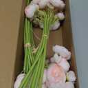 Floroom Ranunculus Artificial Flowers 18 Pcs Blush Faux Silk Mini Ranunculus Bulk Fake Wedding Filler Flowers for DIY Pink Bouquets, Centerpieces, Bridal Shower Decorations & Arrangements