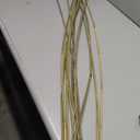 Vickerman 40 Basil Elephant Reed, 10 oz Bundle, Dried