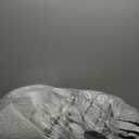 Floral Quilt Set California King 3 Pieces Grey Floral Quilt Coverlet Set Soft Microfiber Lightweight Purple Quilted Bedspread for All Season 106"x96"