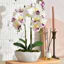 YSZL Large Artificial Potted Orchid Plant, Silk Flower Arrangement with Ceramics Vase, White