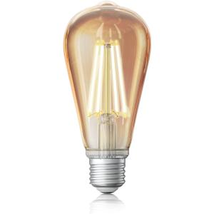 Sengled Zigbee Smart Bulb, Smart Hub Required, Work with SmartThings and Echo with built-in Hub, Voice Control with Alexa and Google Home, Amber Warm 2000K Smart Edison Bulbs, 60W Equivalent 1 Pack
