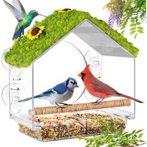 Clear Window Bird Feeder with 4 Strong Suction Cups & Decorative Lawn Top - Ideal for Garden/Yard Decor, Elderly & Kids Bird Watching, Unique Gift for Nature Lovers (Transparent&Green)