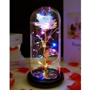 Fvawe Mothers Day Rose Gifts for Mom, Birthday Gifts for Women Moms, Galaxy Crystal Light Up Rose in A Glass Dome, Mothers Day Flowers Presents Girlfriend Wife Sister Grandma Mother Mom from Daughter