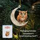 3 x Christmas Tree Decorations, Acrylic Christmas Tree Ornaments, Double-Printed Animal Hanging for Christmas Tree, Home Decor, Children's Gifts (Owl) (Moon-owl 2)