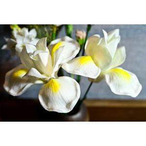 Birthday Gifts for Women 8pcs 5inch Luxury PU Bright White Flowers Real Touch Flowers Womens Gifts Artificial Flowers for DIY Birthday Gifts Wedding Gifts Home Decor Table Centerpiece (612)