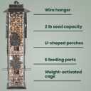 Perky-Pet 336-1SR Squirrel-Be-Gone Squirrel Proof Bird Feeder, 2LB, Outdoor Wild Bird Feeder with Weight-Activated Perches