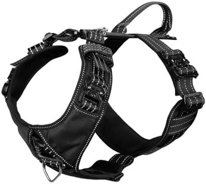 ICEFANG Dog Strap Harness with 4 x Metal Buckles,for Large Sized Dog,K9 Vest,Y-Shape Chest,Adjustable Pet Harness,No-Pull Front Leash Clip (Large (Pack of 1), Black)