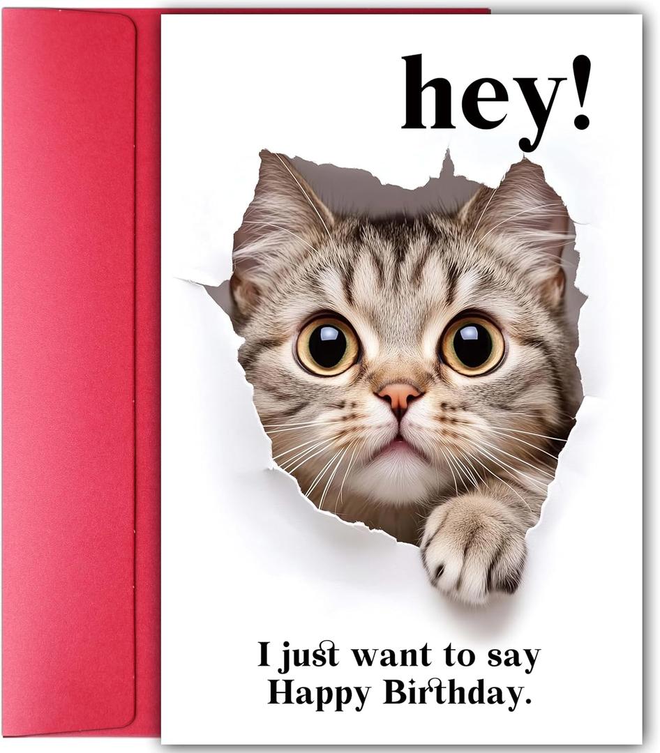 Funny Cat Birthday Card for Men Women, Naughty Birthday Card Gift for Cat Lover Friend Sister Brother Cousin Coworker