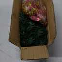 24"/60cm Tabletop Xmas Tree, Artificial Mini Christmas Pine Tree with LED String Lights & Ornaments