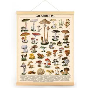 Vintage Mushroom Poster Fungus Wall Art Prints Rustic Mushroom Wall Hanging Illustrative Reference Chart Poster for Living Room Office Classroom Bedroom Dining Room Decor Frame, 15.7 x 19.7 Inches