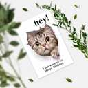 Funny Cat Birthday Card for Men Women, Naughty Birthday Card Gift for Cat Lover Friend Sister Brother Cousin Coworker