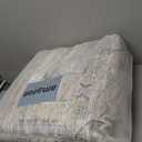 RUUGME Washable 9x12 Area Rug - Rugs for Living Room Bedroom Dining Room Non-Slip Vintage Rugs More Durable and Incredibly Soft Great Home Decor (9x12 Beige)