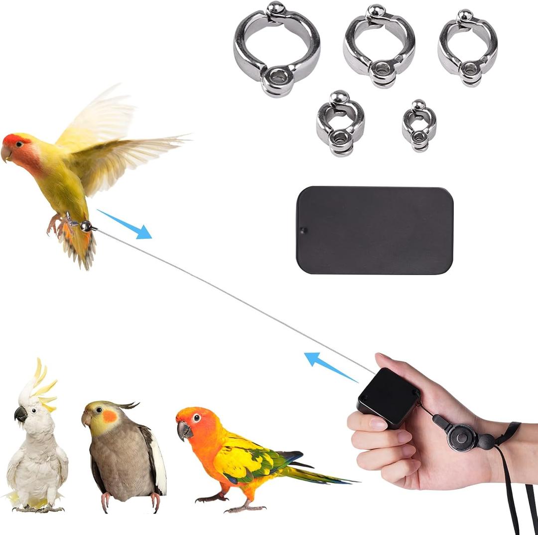 Retractable Bird Leash, with 5 Different Size Foot Ring and Feeder Box, Anti-Bite Parrot Harness Bird Flight Training Rope for Budgies, Cockatiels, Psittacula Longicauda, Mini Macaws (19.69Ft)