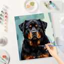 Animal Paint by Numbers Kit for Adults - DIY Rottweiler Dog Portrait Painting on Canvas 16x20 Inches, Acrylic Paint Set, Suitable for Beginners, Pet Art for Home Decoration or Gifts
