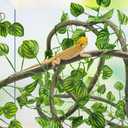 QUOZUO Reptile Tank Accessories, Artificial Plants Vines and Flexible Leaves With Suction Cups, Crested Gecko Tank Long Vines Hide for Climbing, Chameleon, Lizards