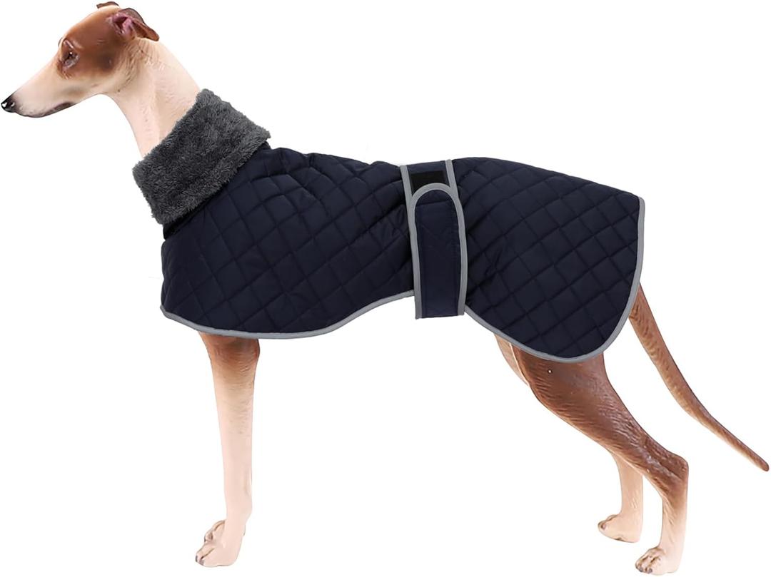 Geyecete Greyhound Fleece Jumper,Greyhound Dog Winter Coat,Whippet Winter Coat Waterproof Windproof Outdoor Dog Apparel for Whippet Lurcher Salukis-Blue-L