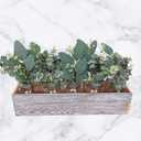 Winlyn 20 Pcs Mixed Artificial Oval Eucalyptus Leaves Bulk with White Seeds Stems and Spray for Vase Floral Wreath Bouquets Wedding Greenery Decoration