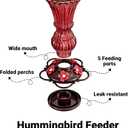 Glass Hummingbird Feeders Red Wild Bird Nectar Feeder for Outdoors Hanging Leak Proof 20 Ounces with 5 Feeding Ports, Decor Backyard