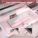 Wireless Keyboard and Mouse Combo, Wave Keys Full-Sized Ergonomic Keyboard with Cushioned Plam Rest, Phone Holder, Comfortable Natural Typing, 2.4G Cordless Set for Computer, Laptop, Pc, Mac, Windows