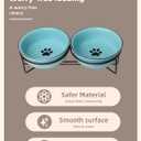 GDCZ Ceramics Raised Cat Bowls with Heighten Metal Stand,15 Ounces Turquoise
