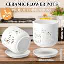 FoldTier 2 Pack 6.5 Inch Large Orchid Pot with Holes and Saucer for Root Health with Precise Aeration and Drainage, Ceramic Orchid Planter Pot for Repotting or New Plants Indoor Outdoor Use(White), 6.3 x 6.3 x 6.5 inches