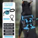 No Pull Dog Harness for  Sized Dogs, Service Dog Harness and Leash Set with 4 Patches, Adjustable Easy Walk Dogs Harnesses with Handle, Dogs Vest Harnesses for Training (Blue, XL)
