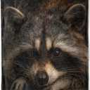 AHUCIZ Realistic Raccoon Blanket, Lightweight All Seasons Warm Throw, 50x60 Inch Realism Adorable Flannel Blankets, Nature Animal Portrait Print Home Decor Accent and Gifts for Sofa, Bedding