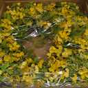 Faux Silk Cherry Blossom Flower Spring Summer Easter Wreath 24-26" for Front Door  Pink Purple Yellow Plum Blossom Green Eucalyptus Leaves  Farmhouse Front Porch Decor, Outdoor Indoor Use